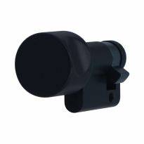 Iseo F6 Extra S veiligheidsprofielcilinder - Messing zwart knop cilinder 30/10